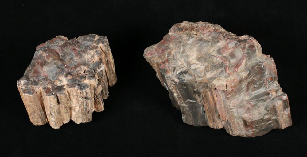 Lot 332: Two Pieces Of Petrified Wood