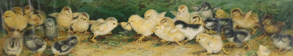 Lot 166: Ben Austrian Lithograph Battle of the Chicks