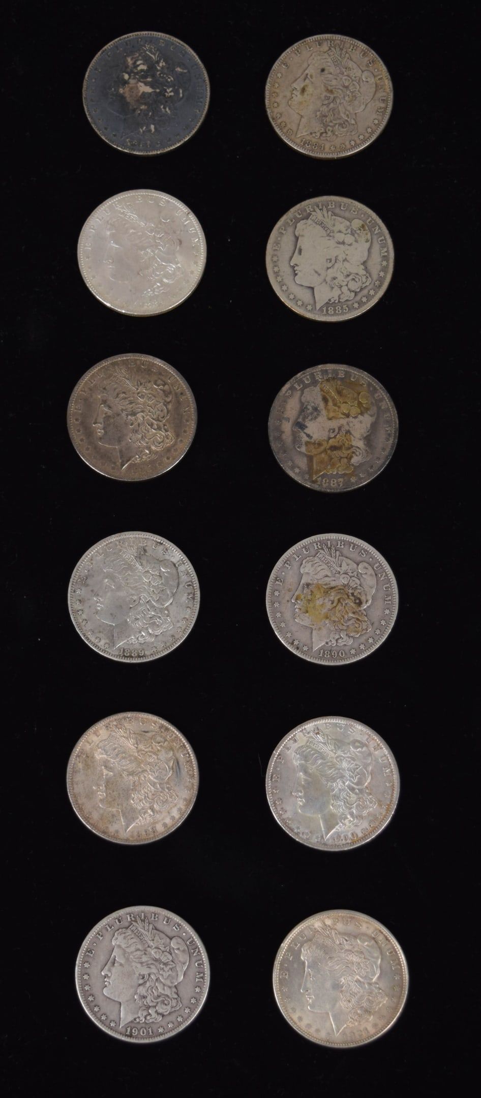 Lot 254: 12 Morgan Silver Dollars