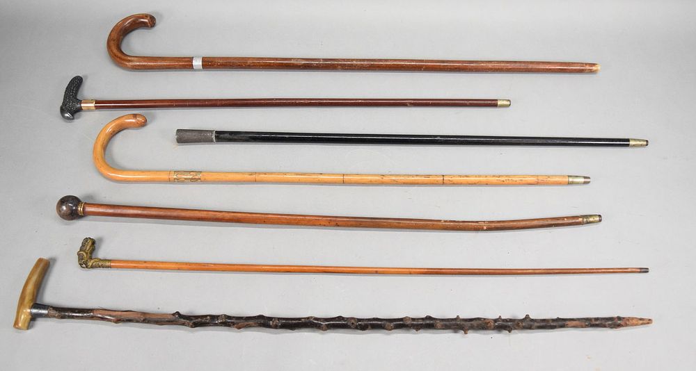 Lot 315: 7 Canes & Walking Sticks