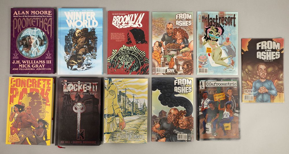 Lot 241: 11 Comics IDW, Dark Horse, America's Best