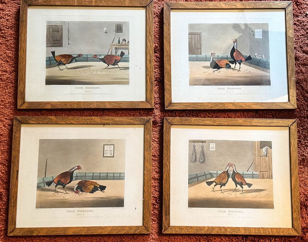 Lot 227: 4 Cock Fighting Prints English Circa 1850 Duck
