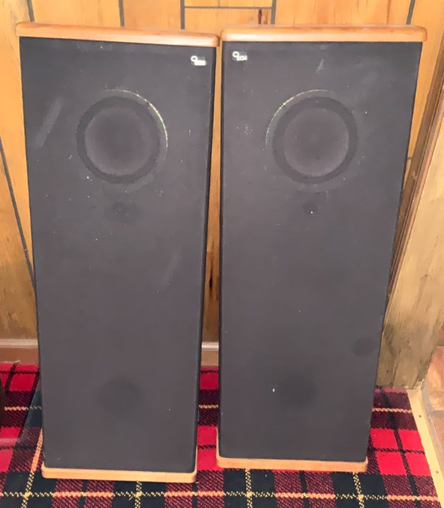 Lot 318: Pair DCM TImeframe Tower Floor Speakers TF250