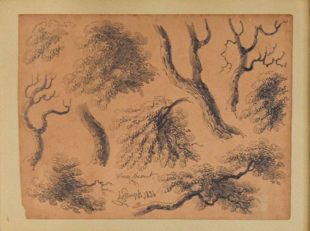 Lot 202: H.W. Burgess Pencil Drawing Branches