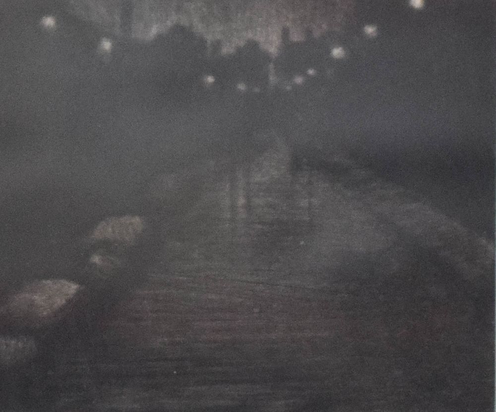 Lot 204: Limited Edition Etching Nocturnal Path