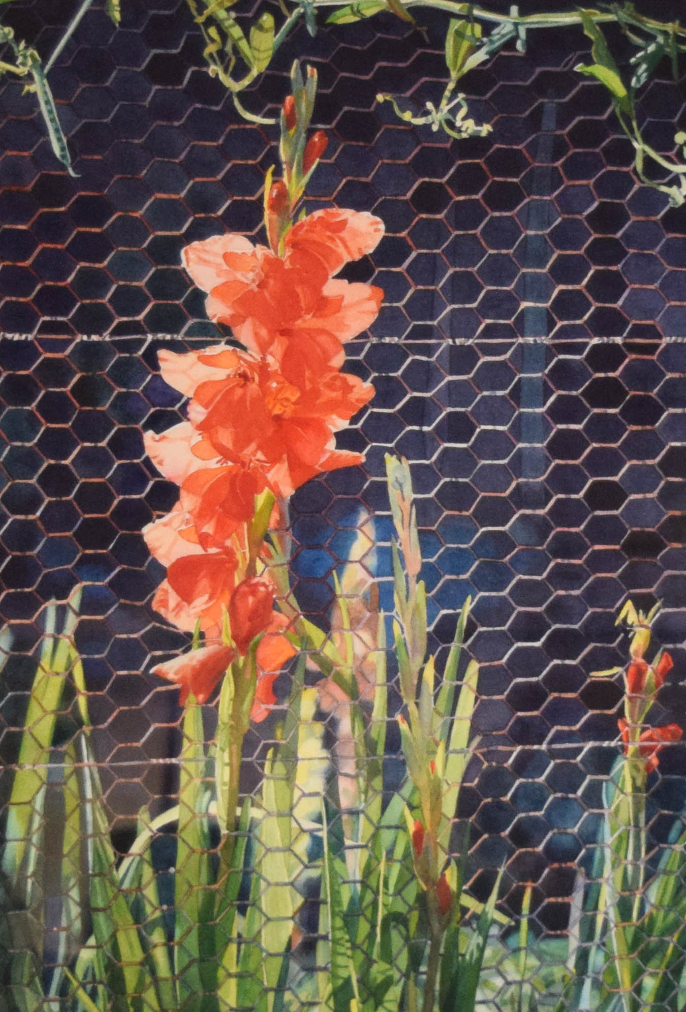 Karen Horn Watercolor Flowers on Fence