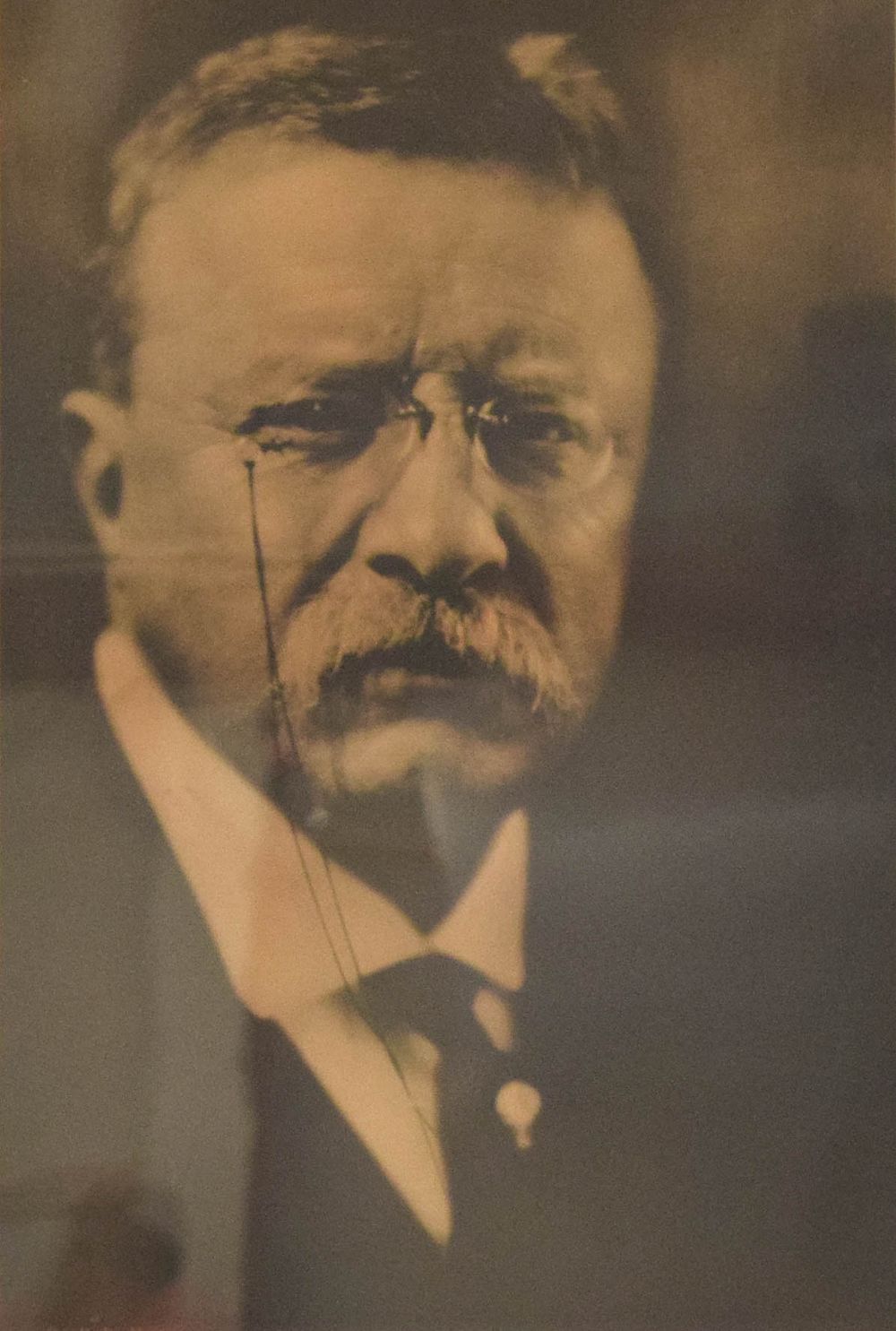 Lot 179: Pirie MacDonald Silver Gelatin Print Portrait of Theodore Roosevelt