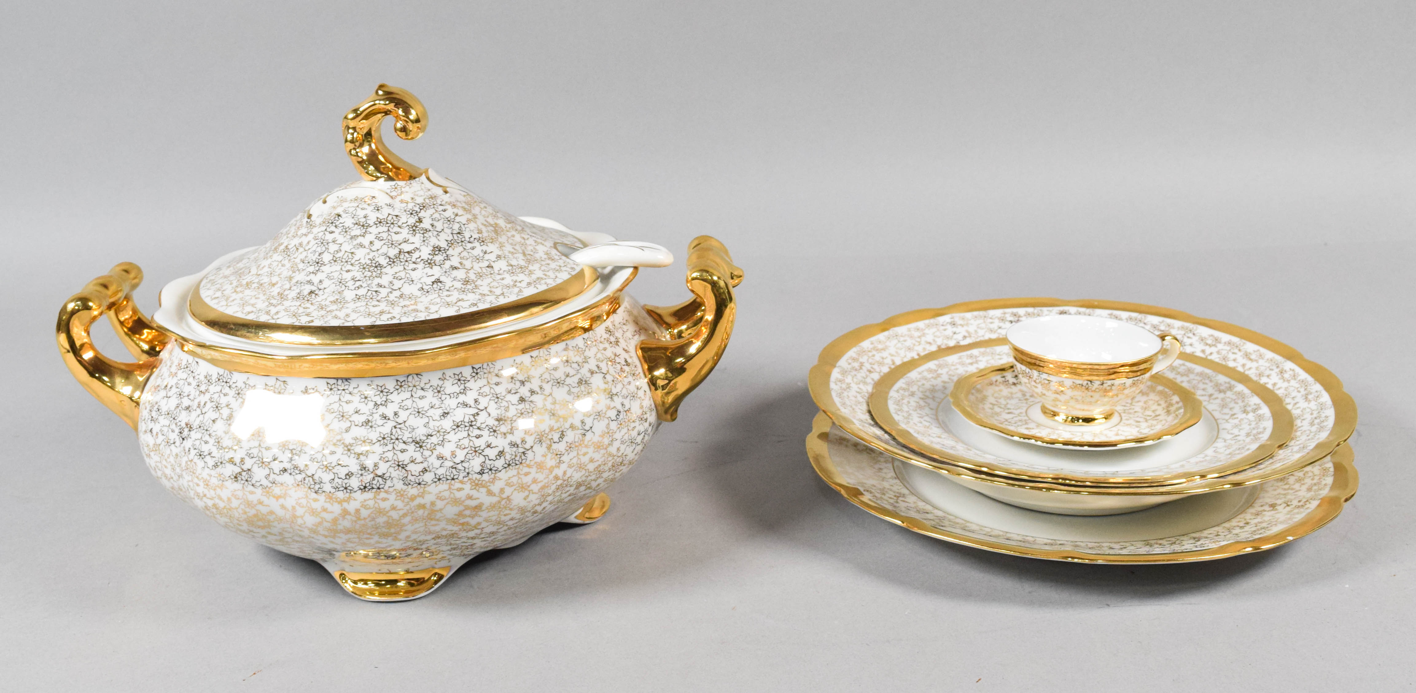 Pirkenhammer Avignon Pattern Porcelain Tableware Set