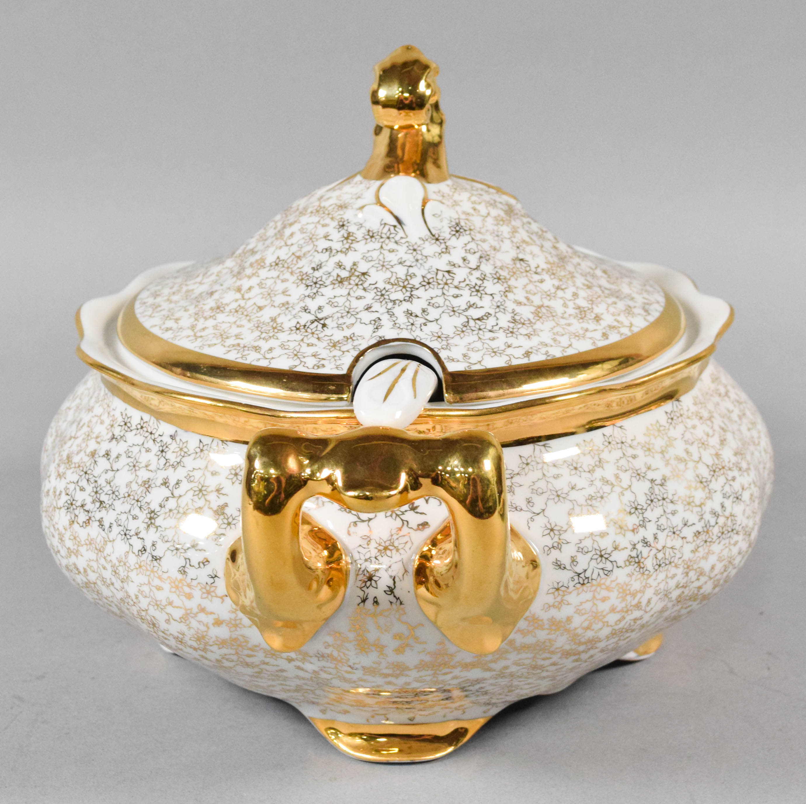 Pirkenhammer Avignon Pattern Porcelain Tableware Set