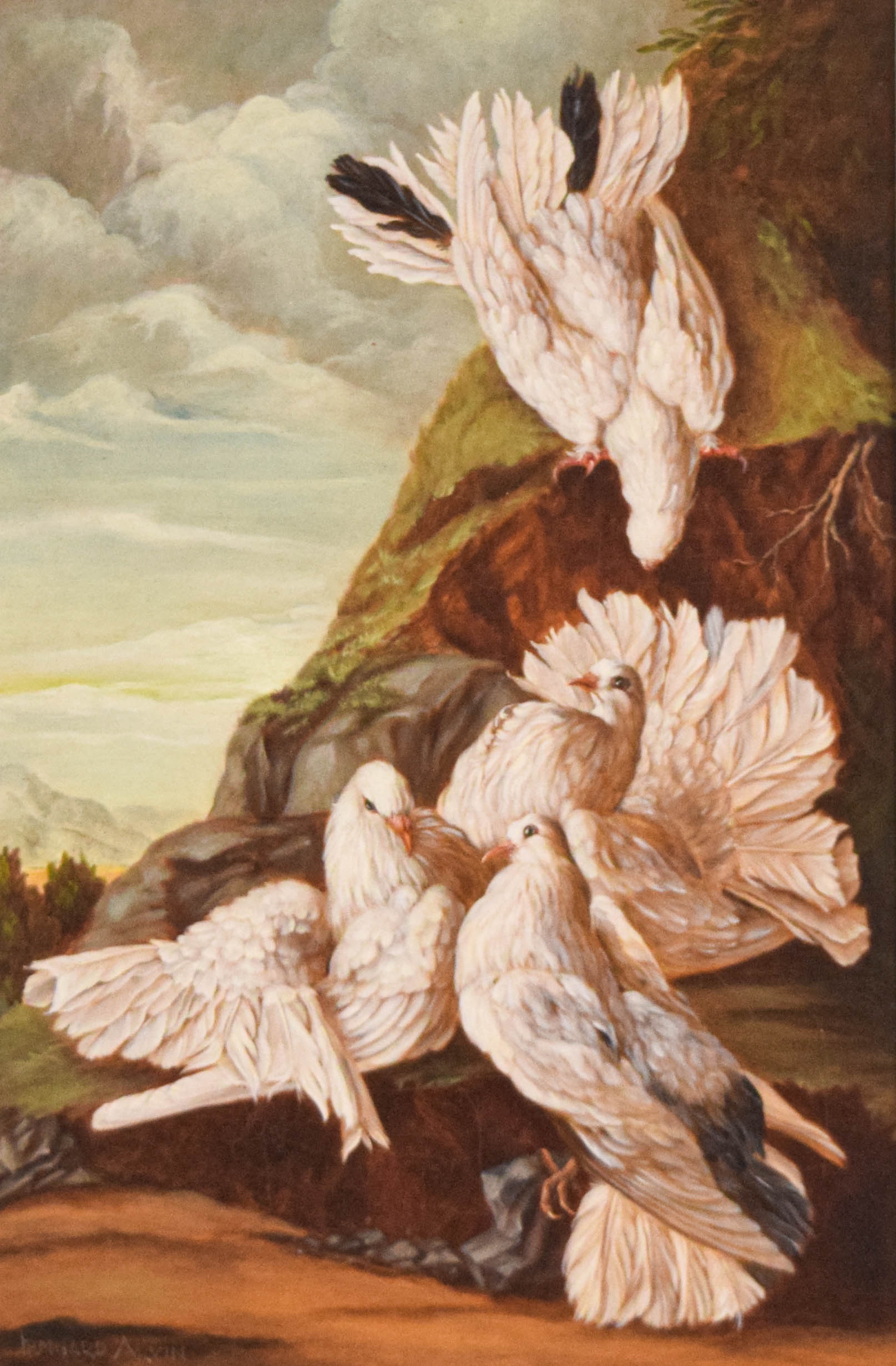 Irmgard Arvin Oil on Canvas White Doves