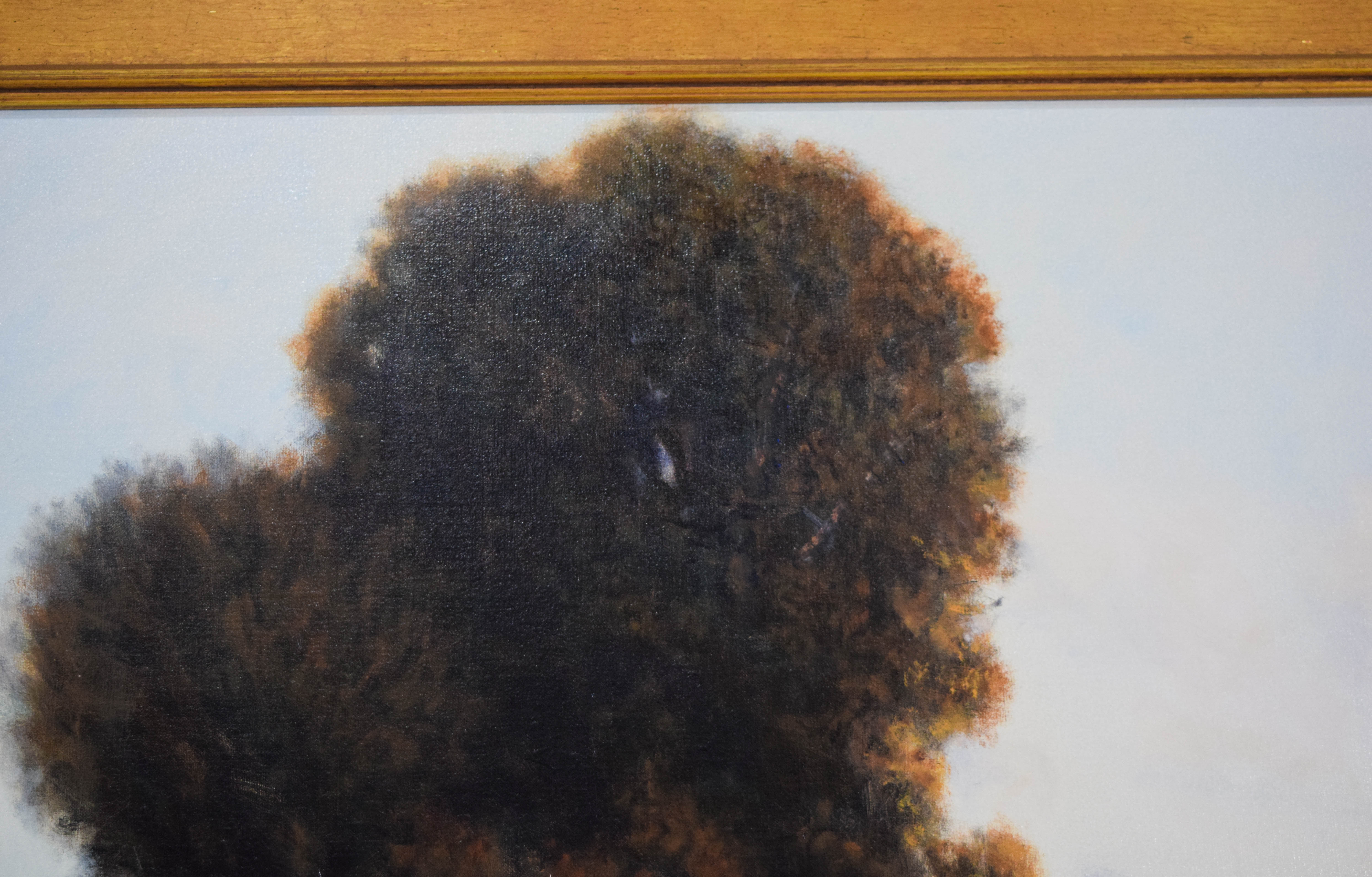 Donald Jurney Oil on Canvas A New Day