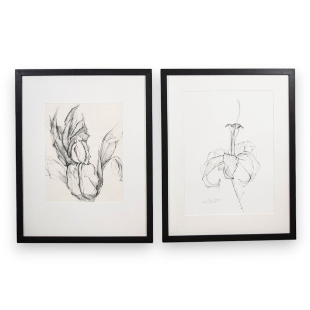 Lot 275: Sydney McGinley Pair of Botanical Drawings Iris and Lily