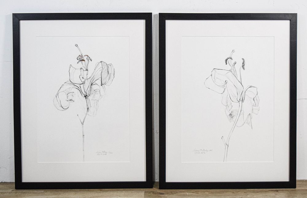 Lot 274: Sydney McGinley Pair of Botanical Lily Drawings