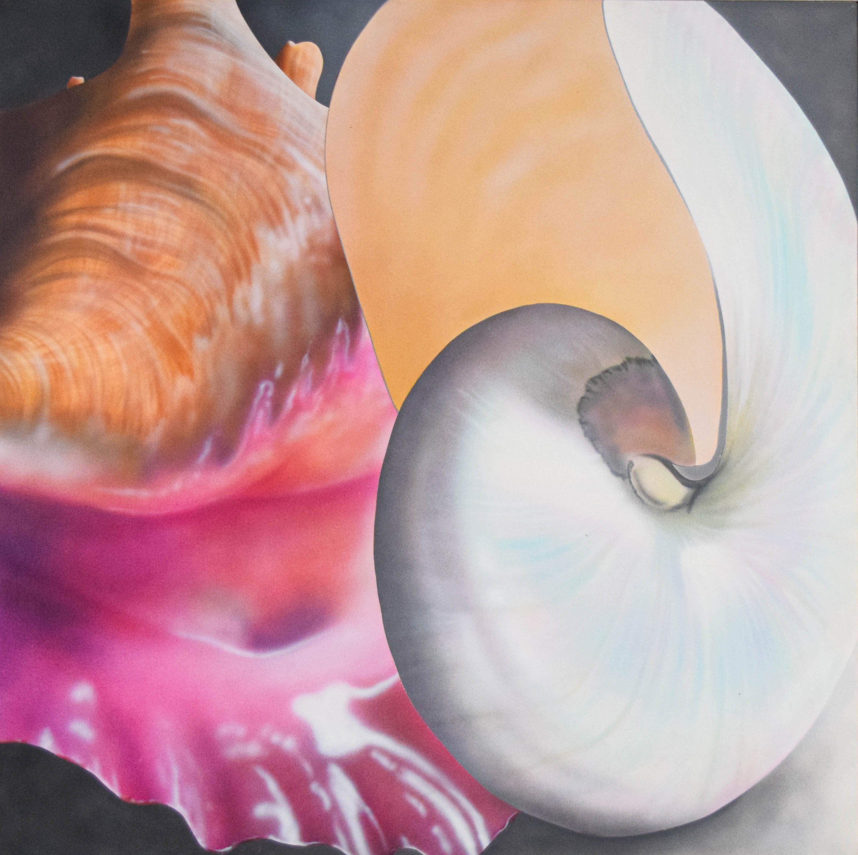 Oscar Lakeman Acrylic on Canvas Shells #2