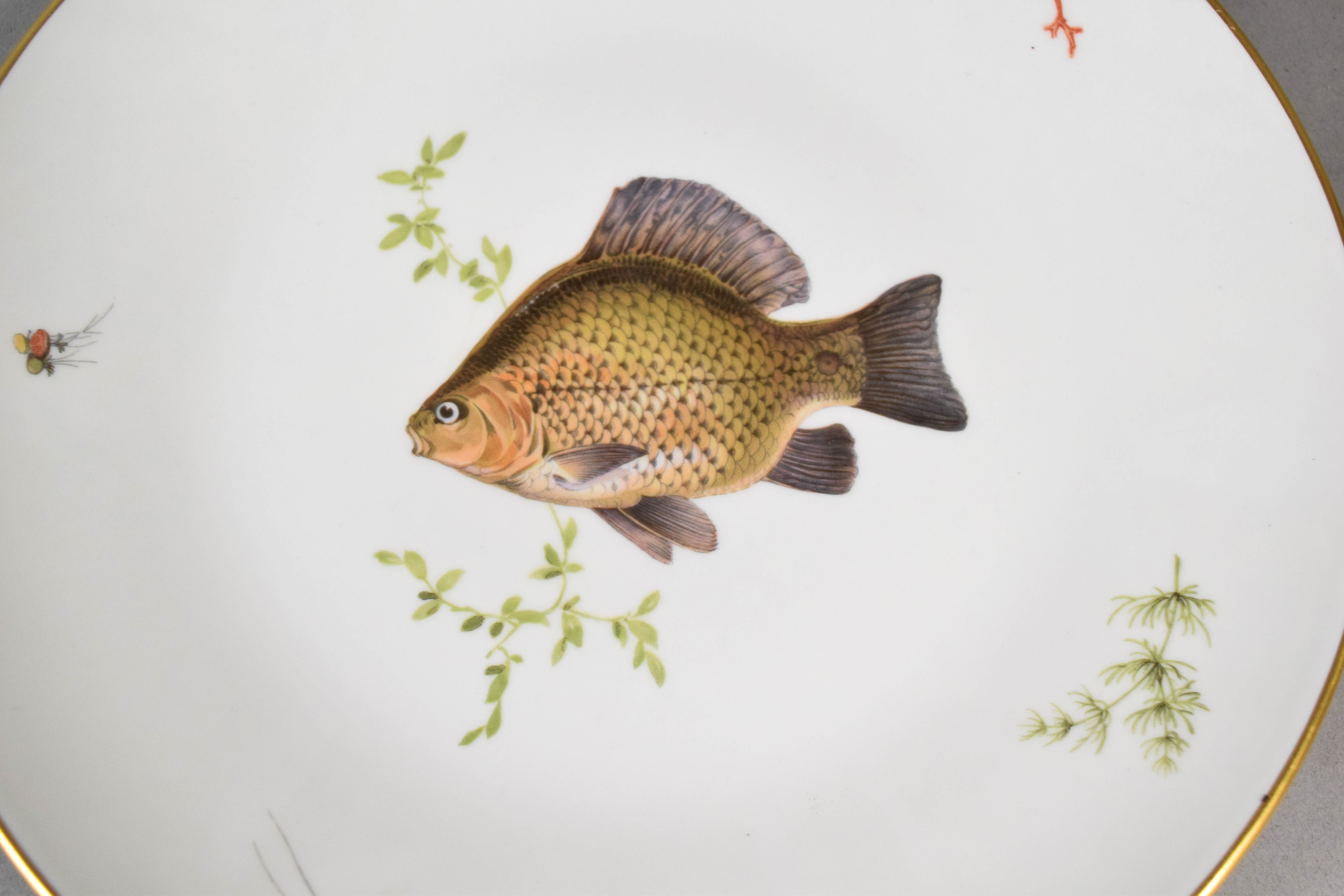 6 Richard Ginori Manifattura di Doccia Porcelain Fish Plates