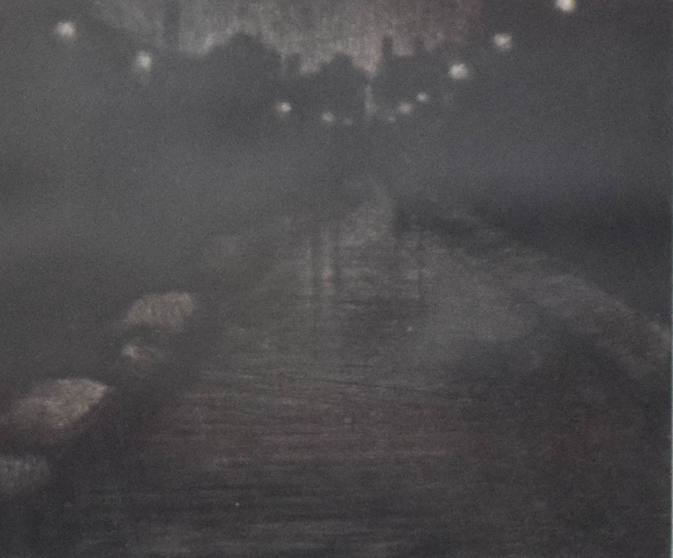 Limited Edition Etching Nocturnal Path