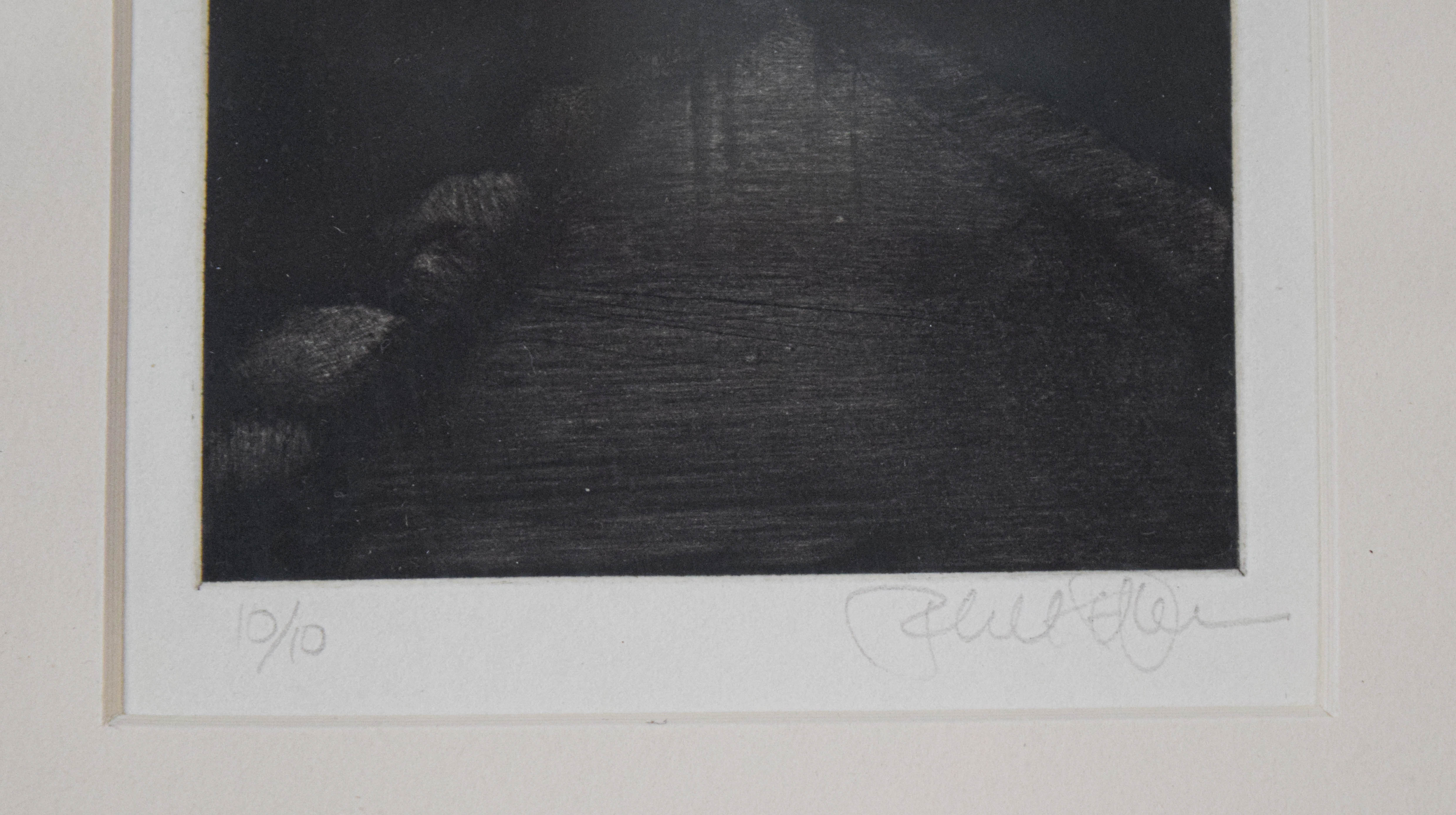 Limited Edition Etching Nocturnal Path