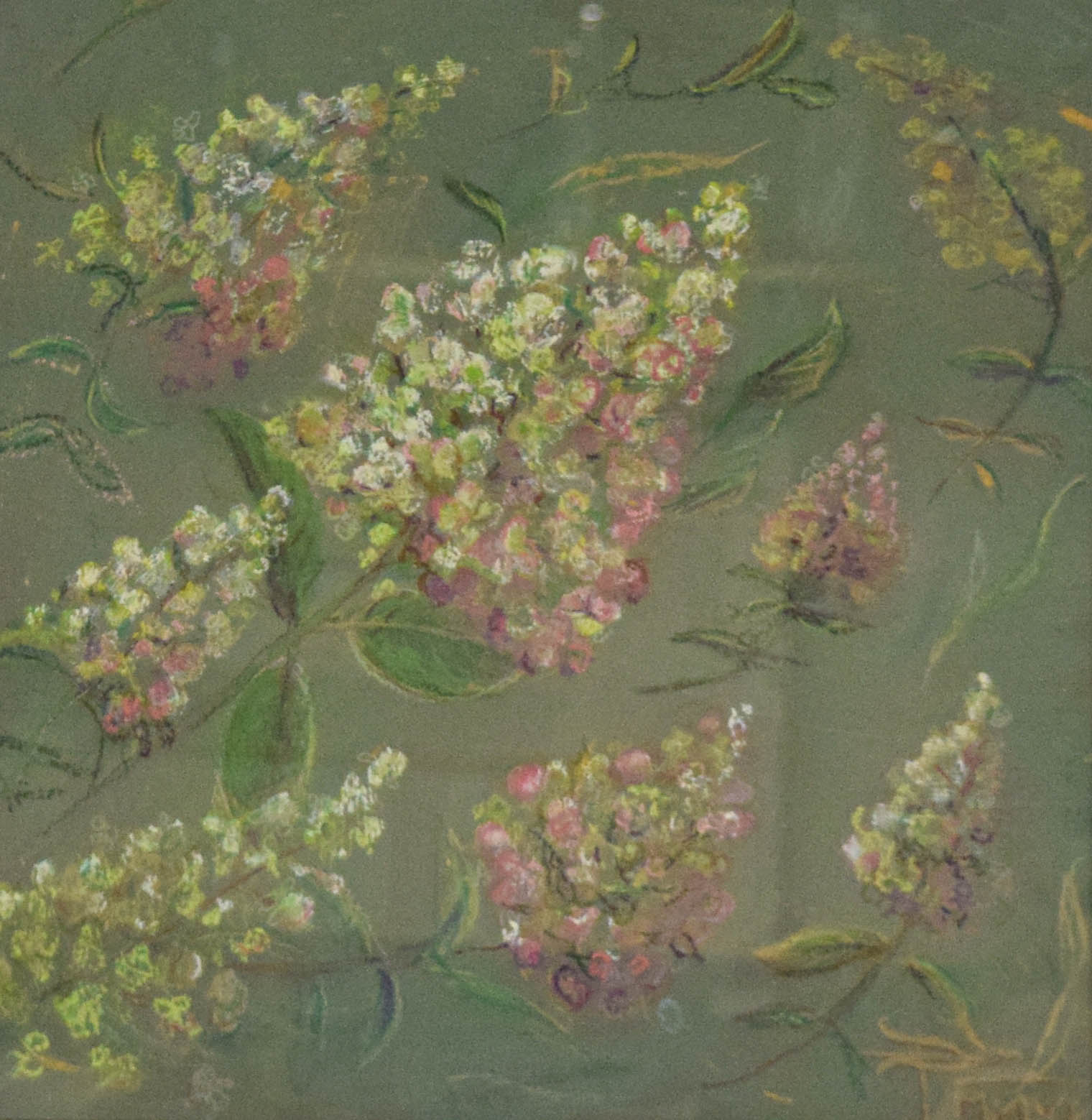 Signed Pastel on Board Hydrangea Study