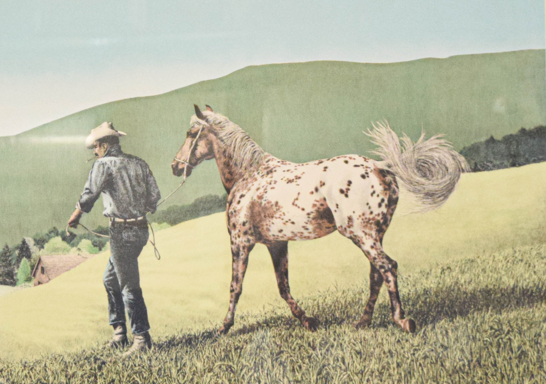Neil Hunter Serigraph Appuloosa, 1974
