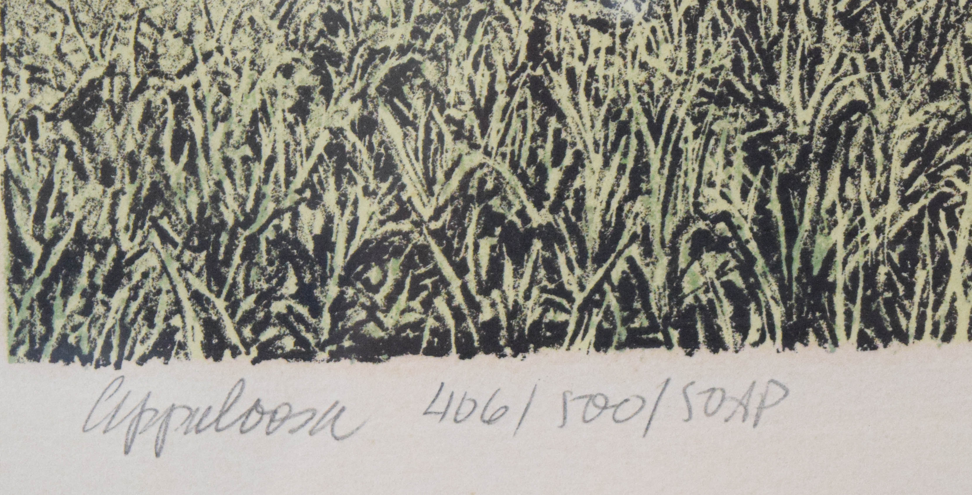 Neil Hunter Serigraph Appuloosa, 1974