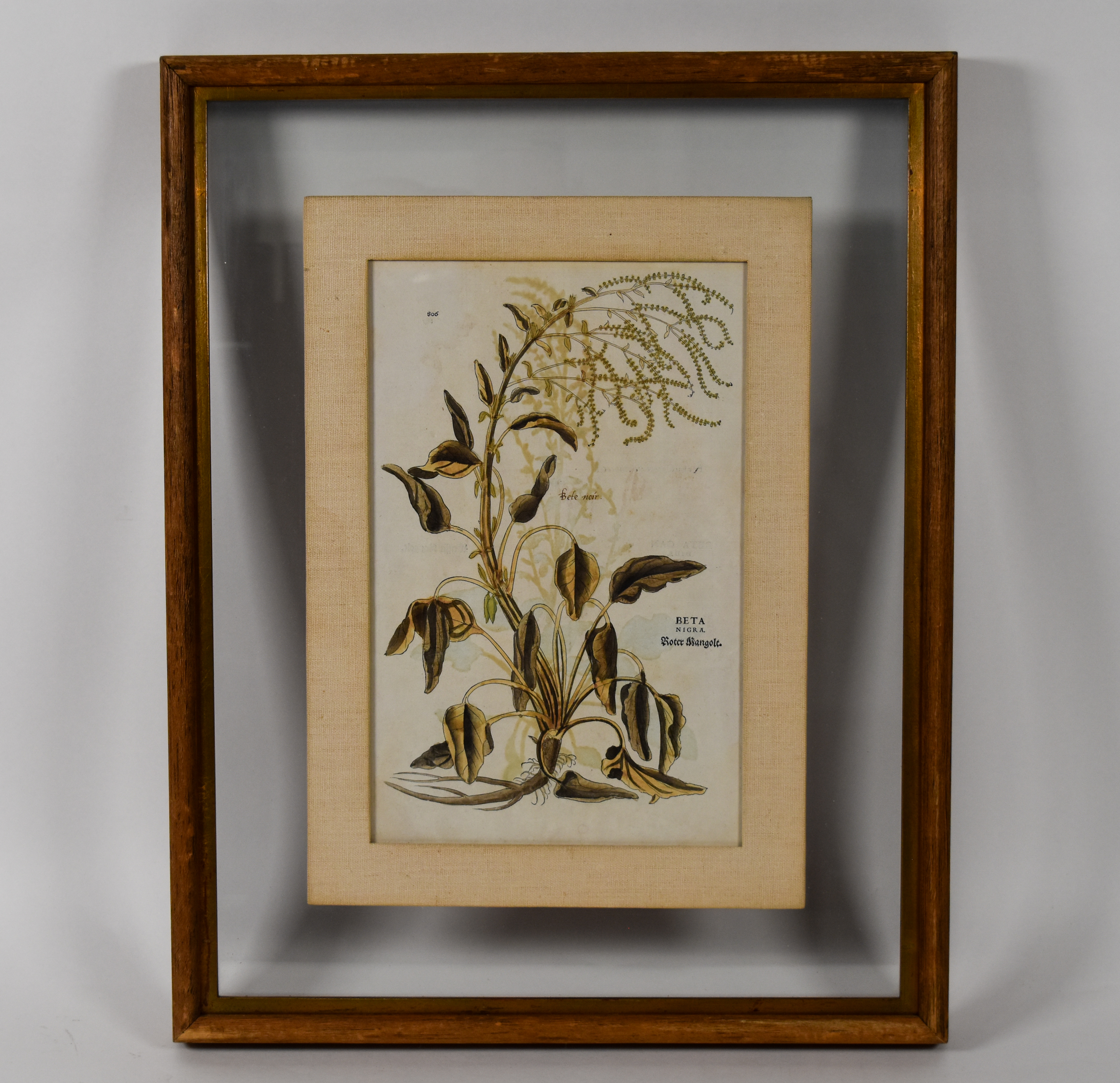 A Pair of Framed Hand-Colored Botanical Engravings from Johann Wilhelm Weinmann Phytanthoza Iconographia
