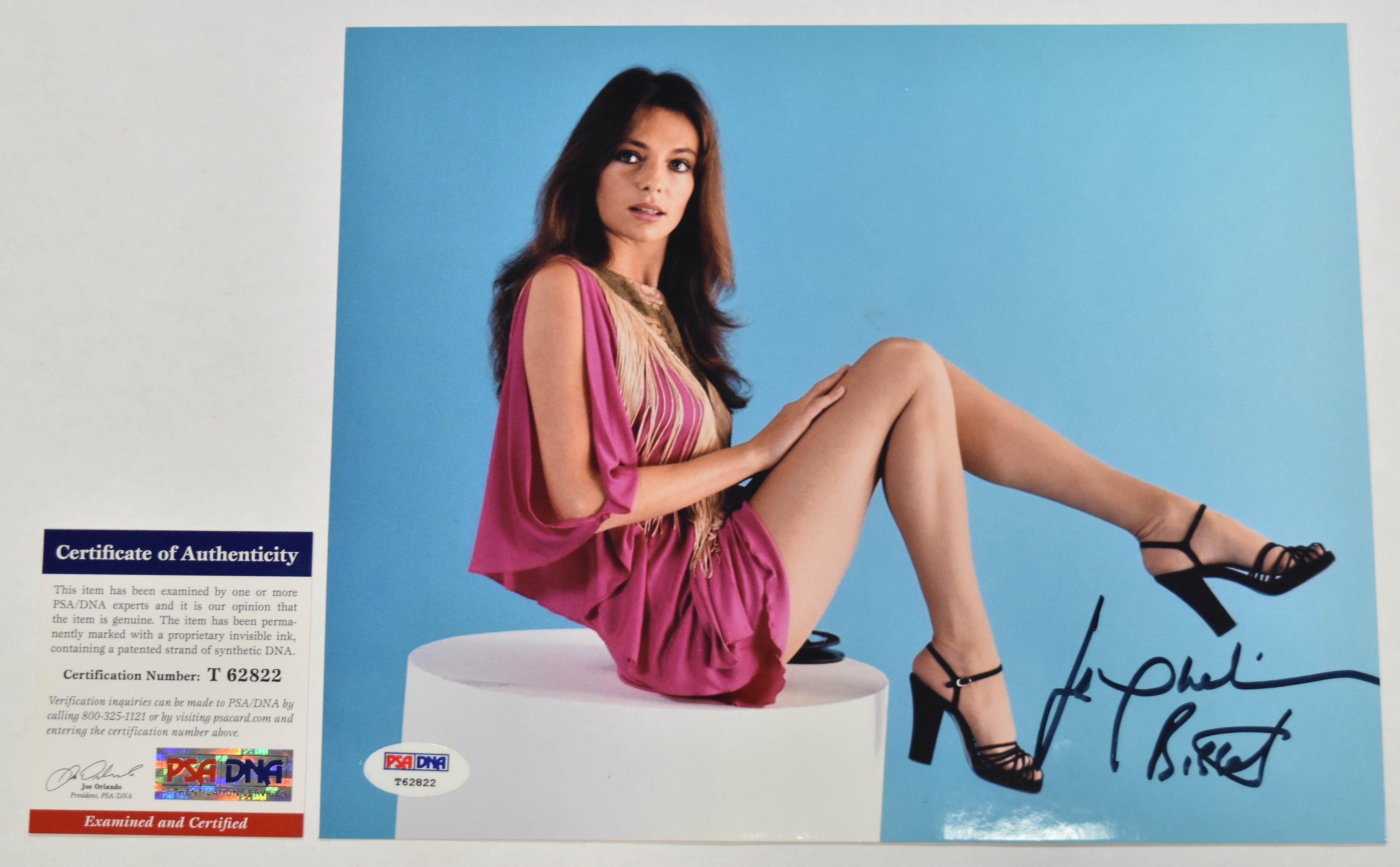 6 Prominent Hollywood Actresses Signed Photographs Including Angelina Jolie and Sharon Stone