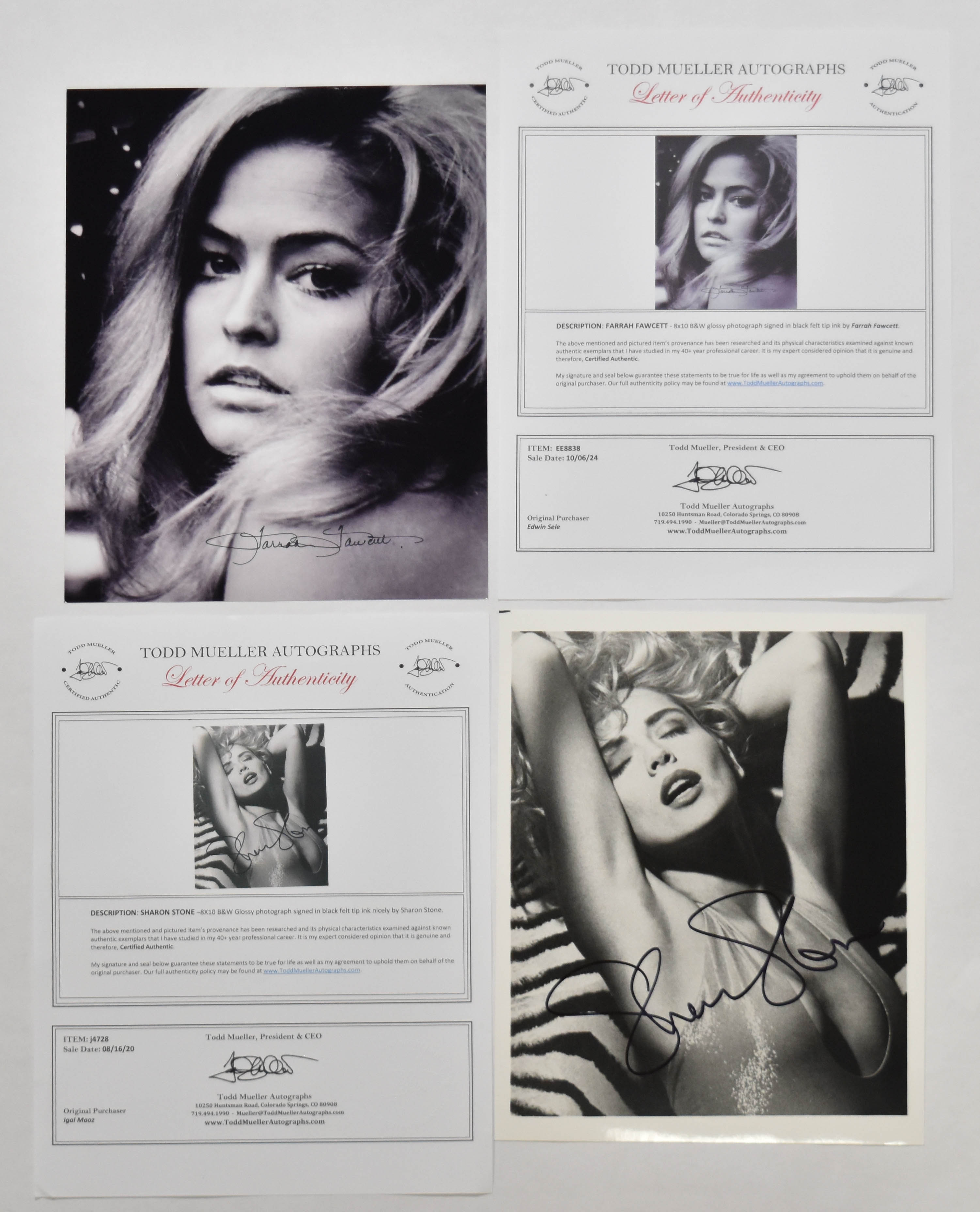 6 Prominent Hollywood Actresses Signed Photographs Including Angelina Jolie and Sharon Stone