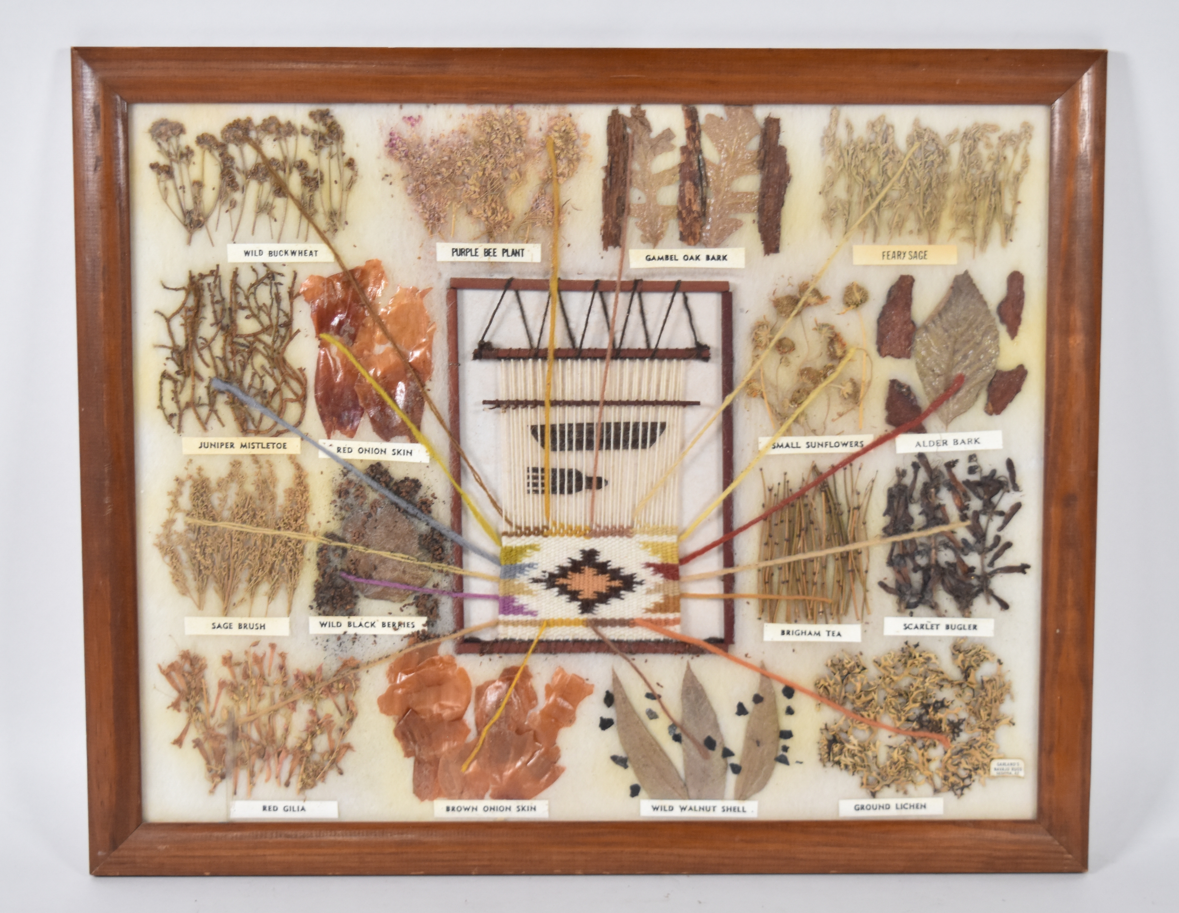 Garland's Navajo Rugs Mixed Media Navajo Botanical Dye Specimen Display