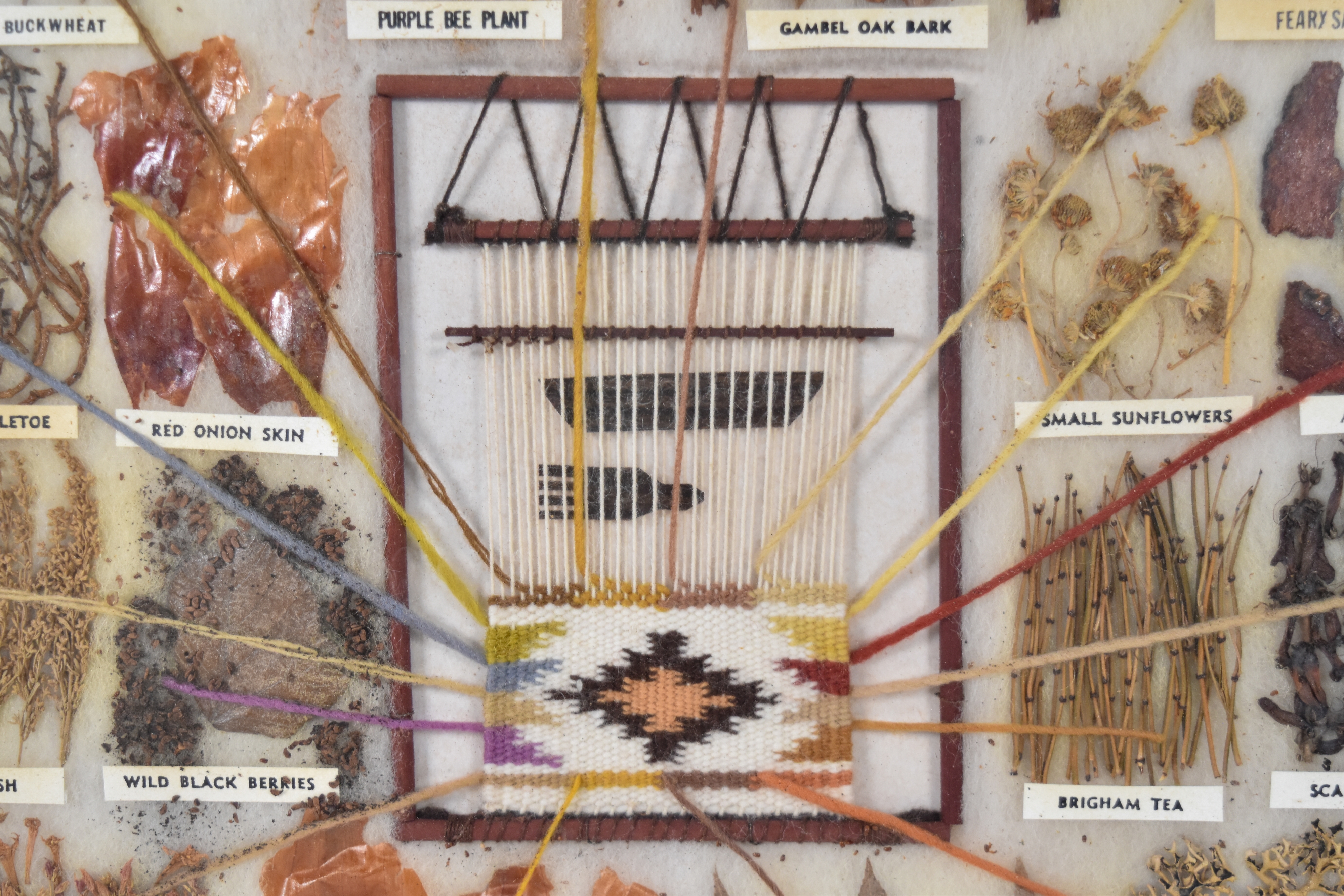 Garland's Navajo Rugs Mixed Media Navajo Botanical Dye Specimen Display
