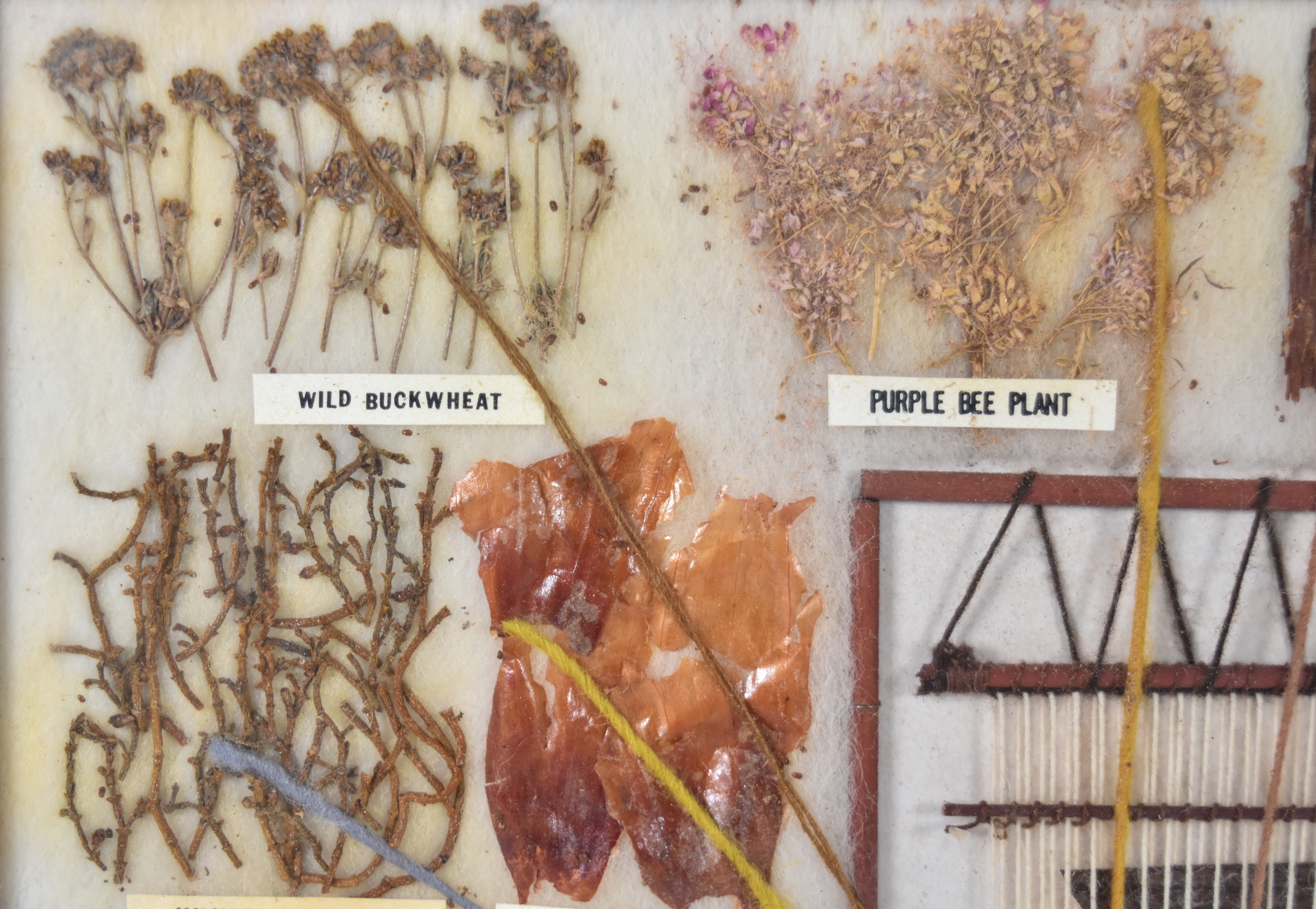 Garland's Navajo Rugs Mixed Media Navajo Botanical Dye Specimen Display