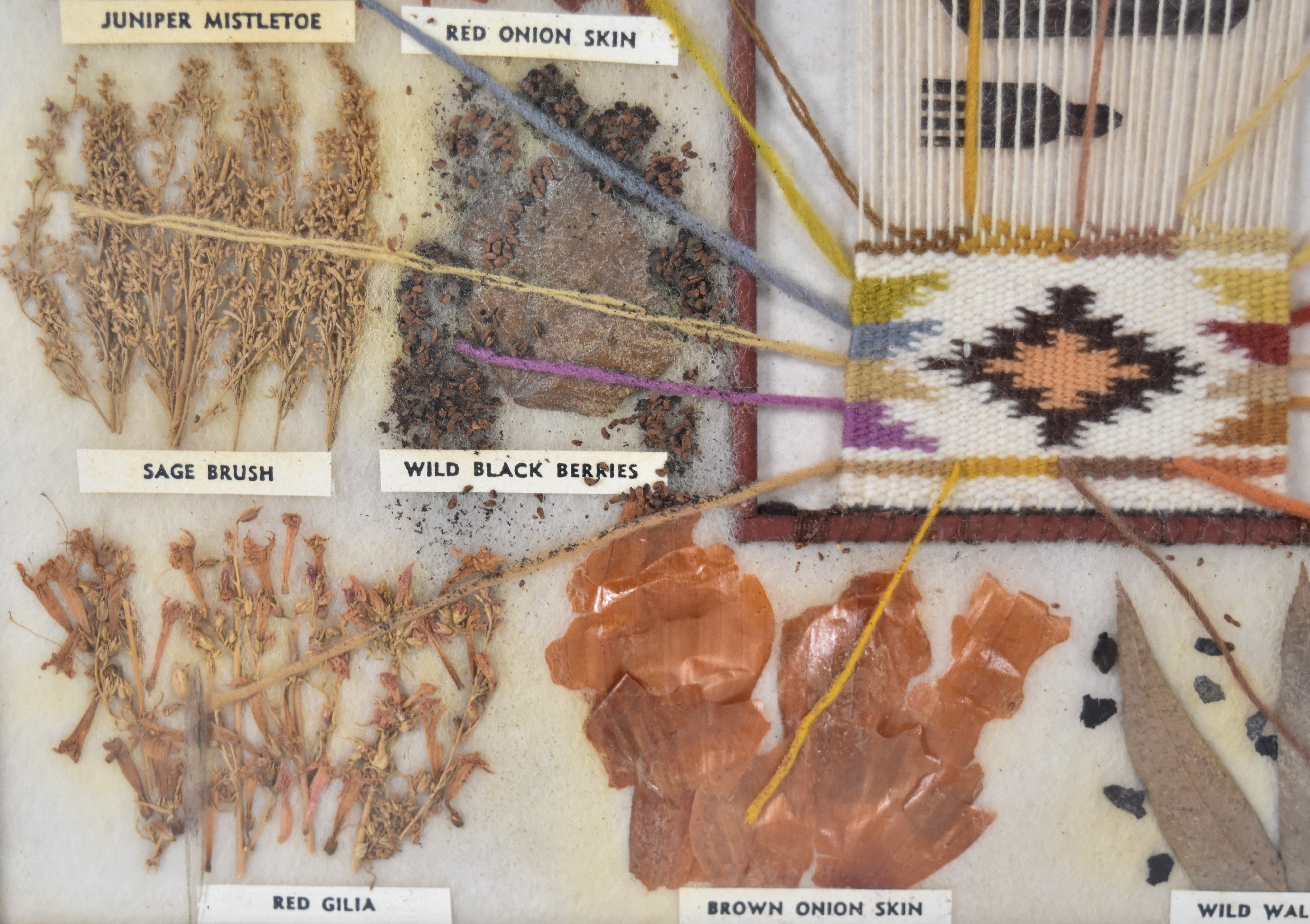 Garland's Navajo Rugs Mixed Media Navajo Botanical Dye Specimen Display
