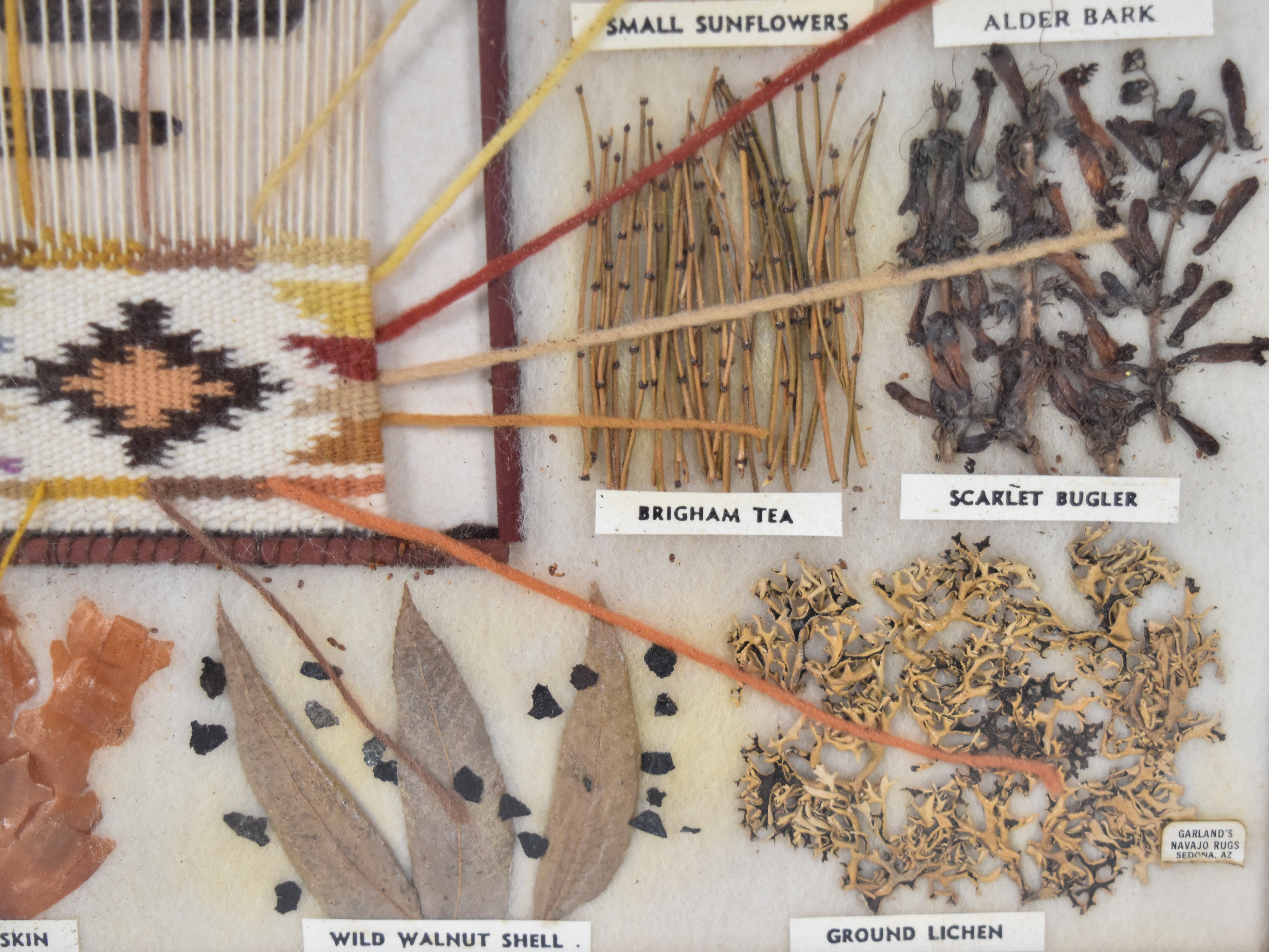 Garland's Navajo Rugs Mixed Media Navajo Botanical Dye Specimen Display