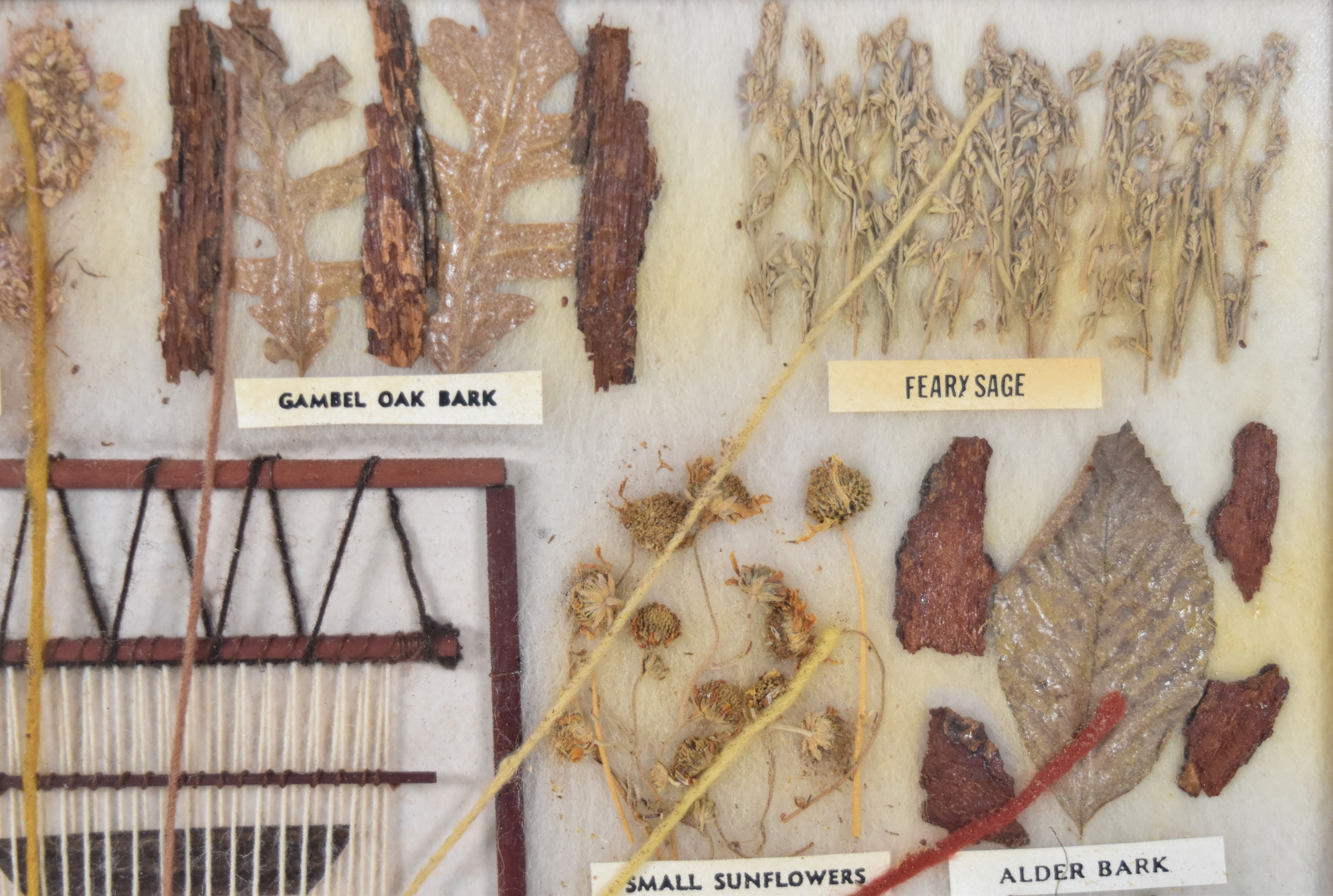 Garland's Navajo Rugs Mixed Media Navajo Botanical Dye Specimen Display