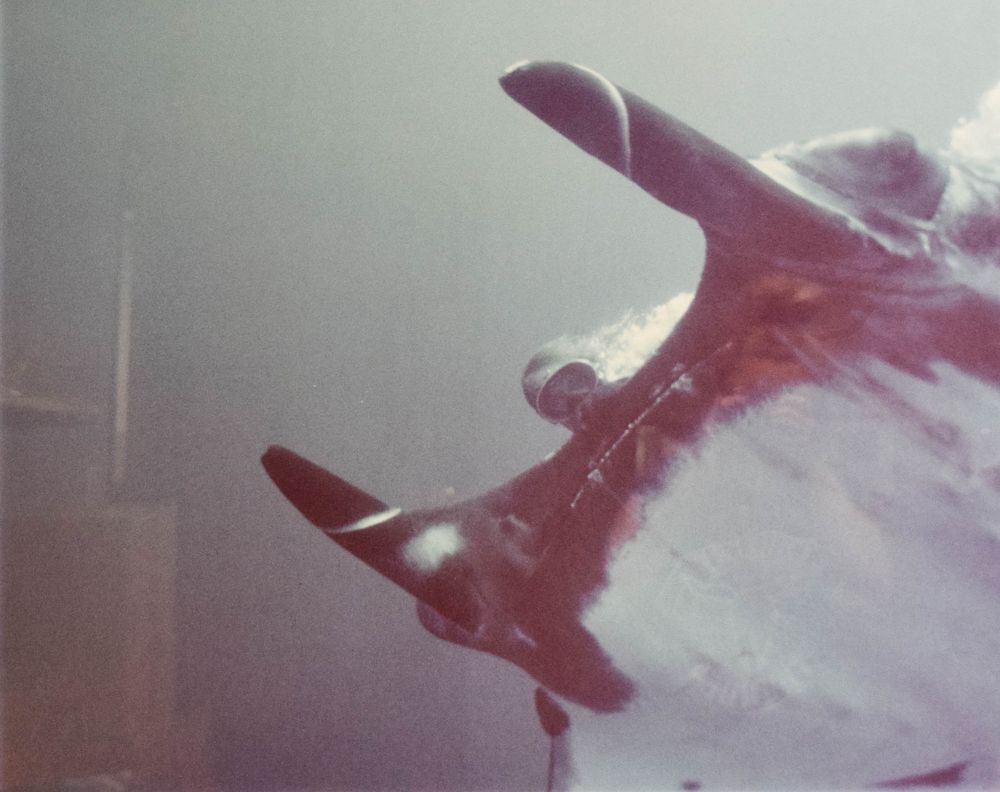 Lot 240: Peter Benchley Diving with Manta Ray, Chromogenic Print