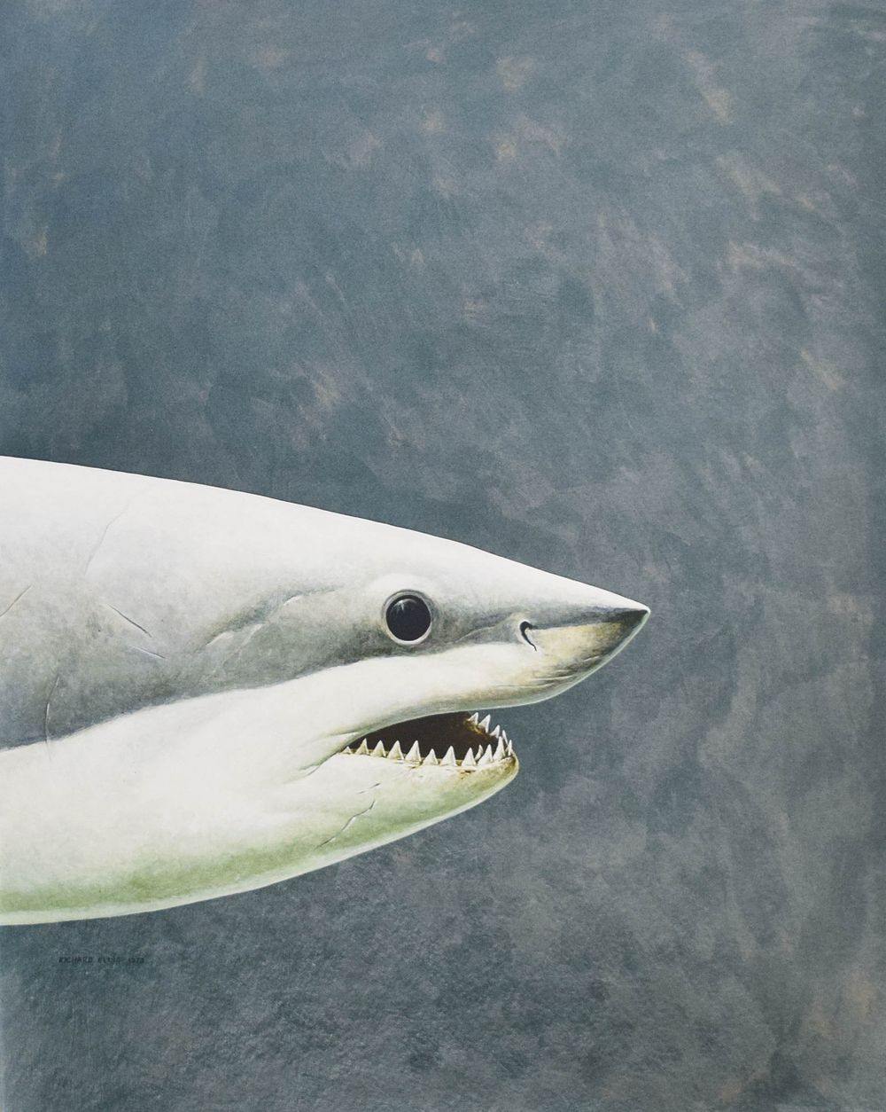 Lot 246: Richard Ellis Giclée on Canvas Great White Shark