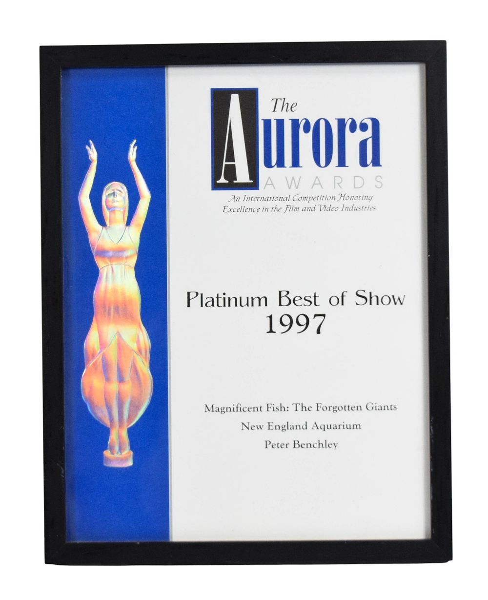 Lot 211: Aurora Awards Paper Certificate Magnificent Fish The Forgotten Giants