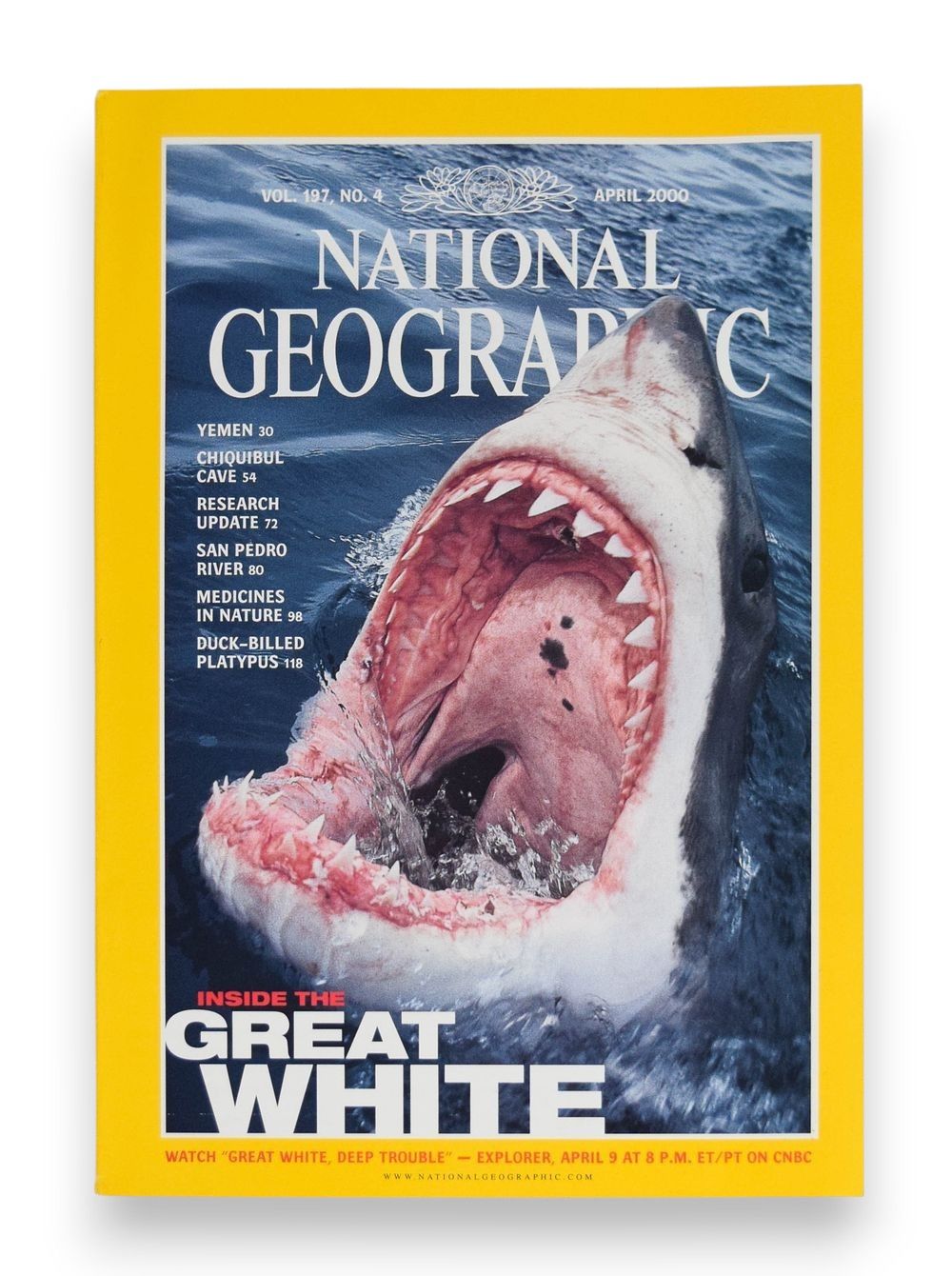 Lot 223: National Geographic Society Paper Magazine April 2000 Peter Benchley Association Copy