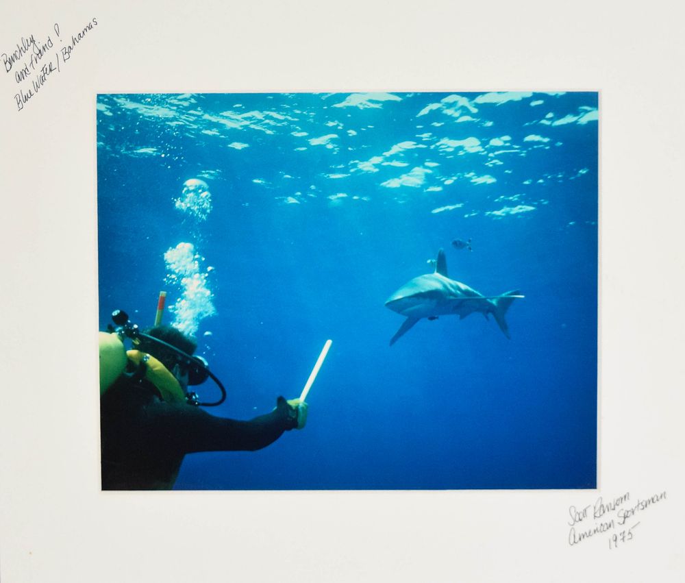 Lot 241: Scott Ransom Chromogenic Print Peter Benchley Diving with Shark