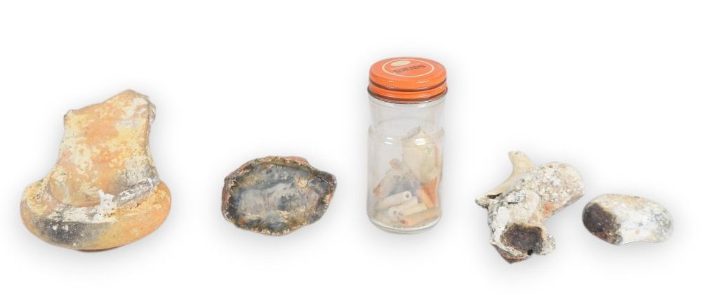 Lot 290: Assortment of Archaeological and Geological Specimens