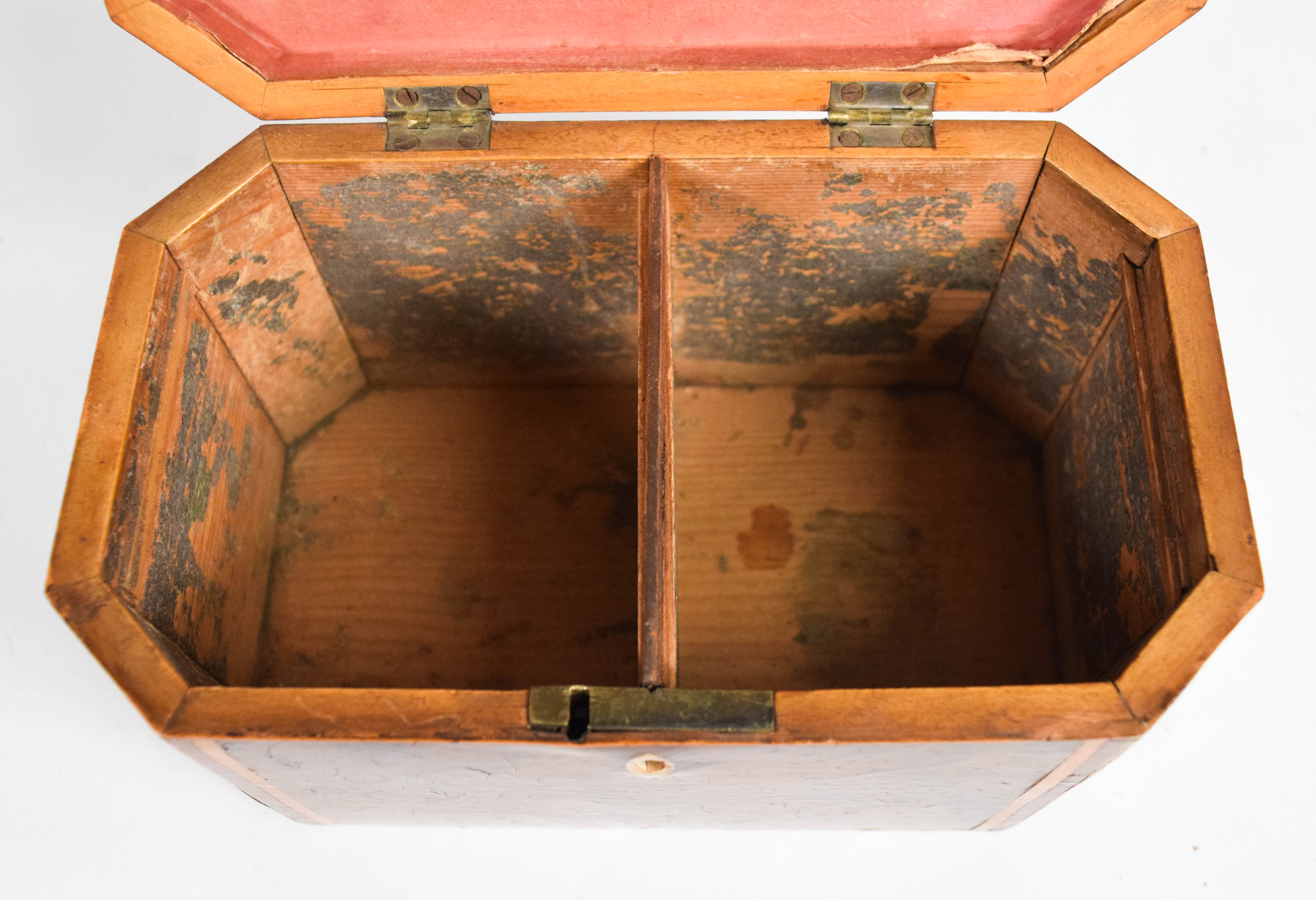 Regency Burl Wood Octagonal Tea Caddy