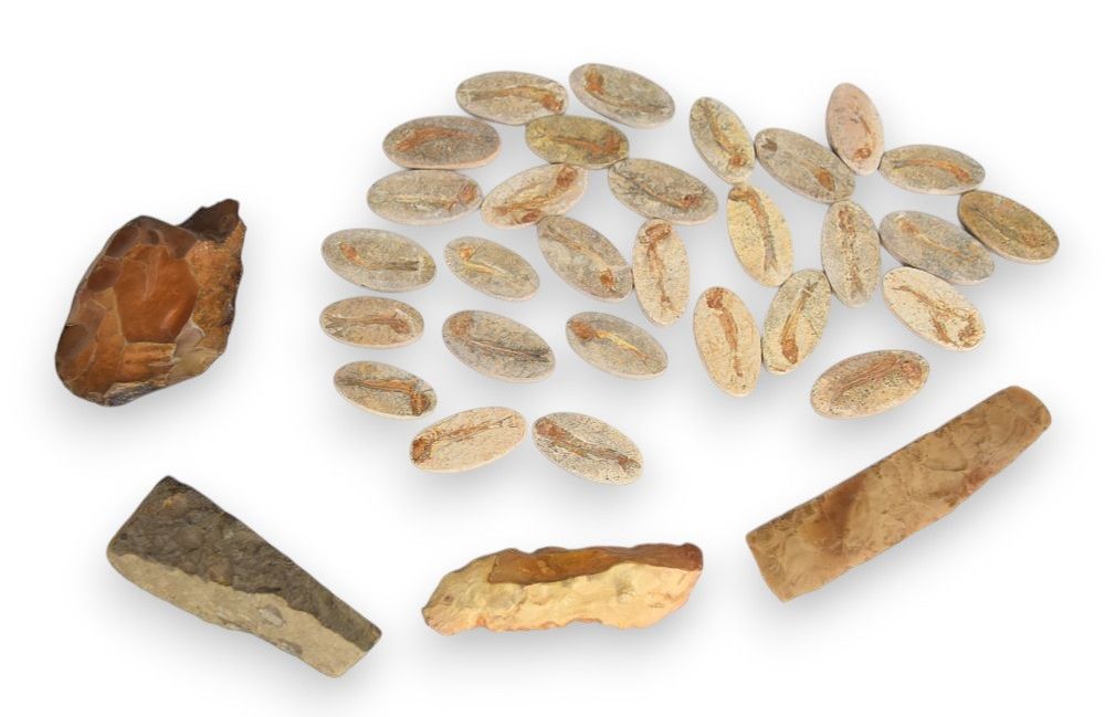 Lot 292: 33 Fossil Specimens and Chert Lithic Artifacts