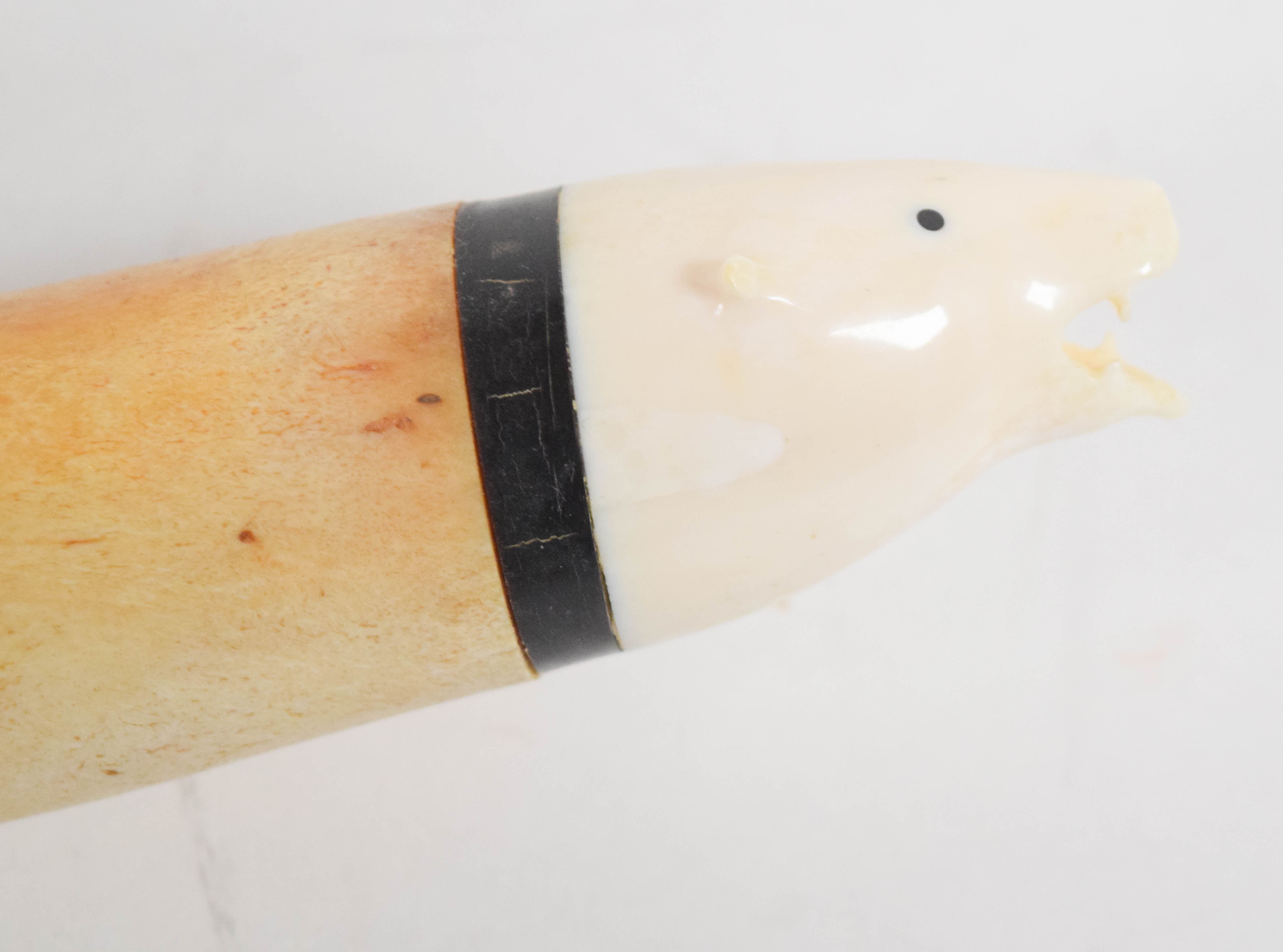 Pelewook Alaskan Inuit Carved Walrus Oosik