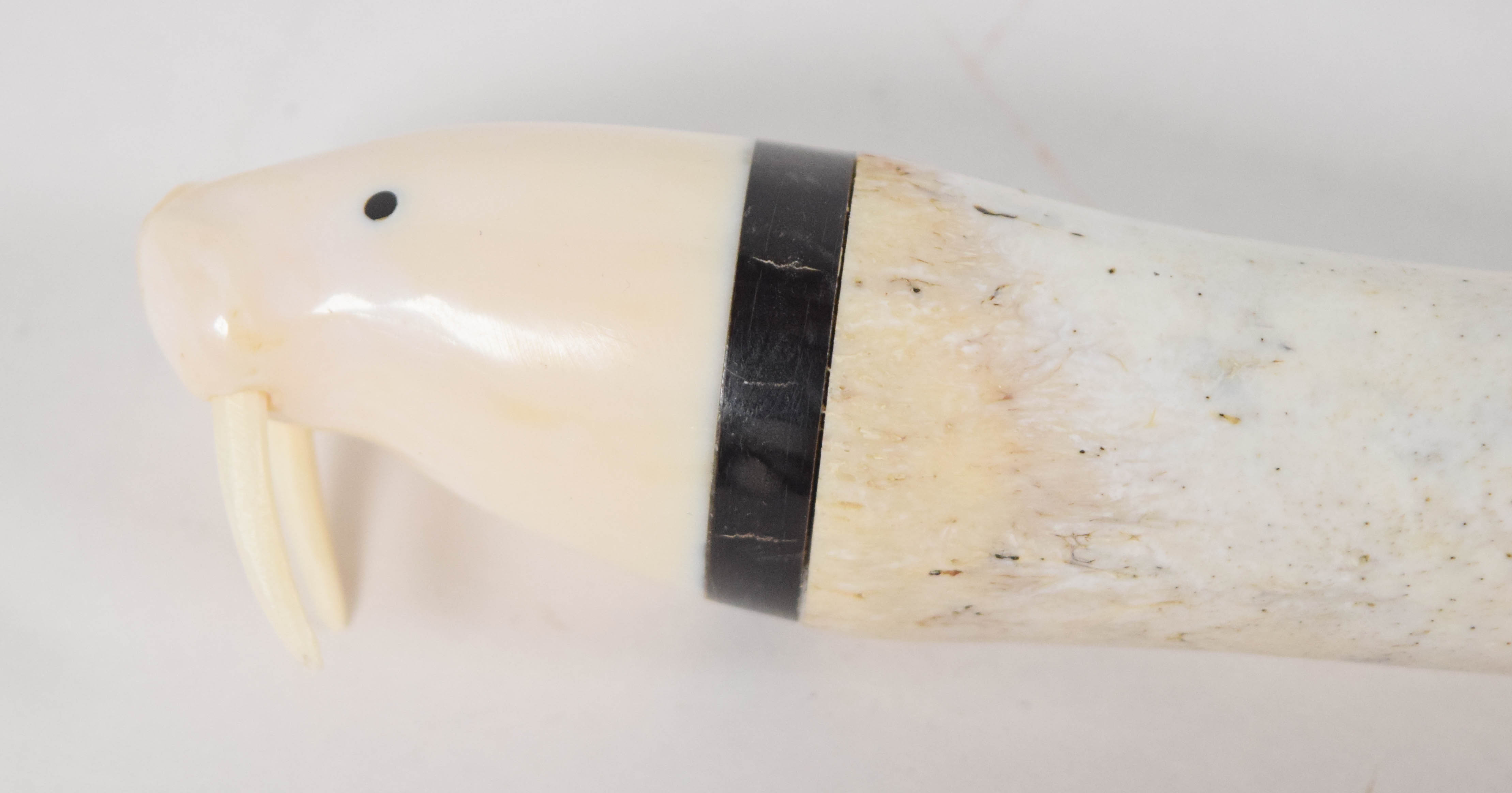 Pelewook Alaskan Inuit Carved Walrus Oosik