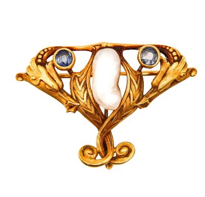 Art Nouveau 1890 Brooch In 14Kt Gold Montana Sapphires And Mississippi Pearl. Stunning early Art 