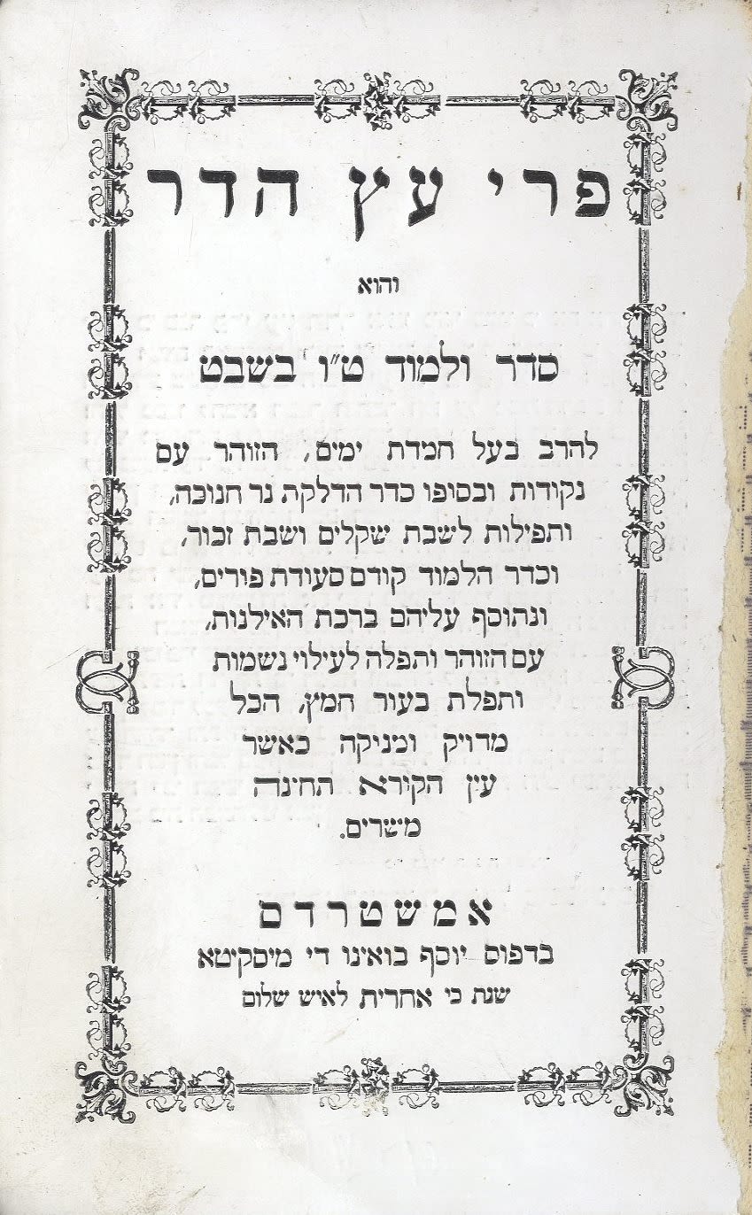 צילום:בידספירט