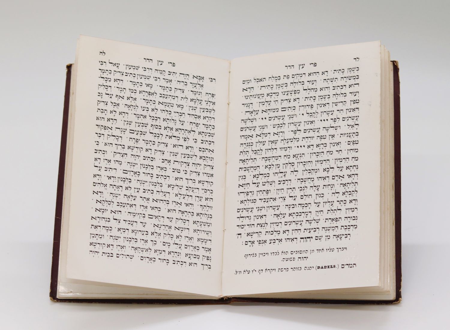 צילום:בידספירט