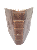 Sefer Menorat HaMaor with Yiddish Translation. 
Amsterdam, 1739. Magnificent copy with wide margin. Image - 6