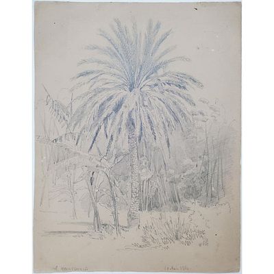 Arsenii Ivanovitch Meshersky (Russian, 1834-1902) Graphite Drawing on Paper Depicting a Palm 