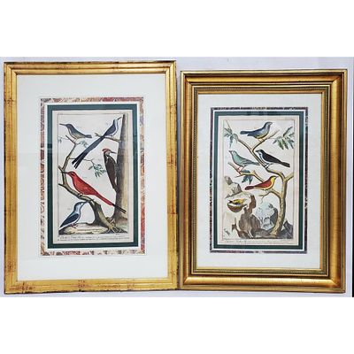 2 Antique 18thC. Ornithological Colored Engravings. Lot of 2 Antique 18th C. Ornithological 