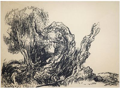 לאופולד קרקואר (אוסטריה - ישראל, 1890-1954) - עץ זית בנוף, גרפיט על נייר, 56x76 ס״מ, חתום.